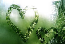 开云体育app-格罗宁根球队备战心态坚定，迎战新赛季挑战