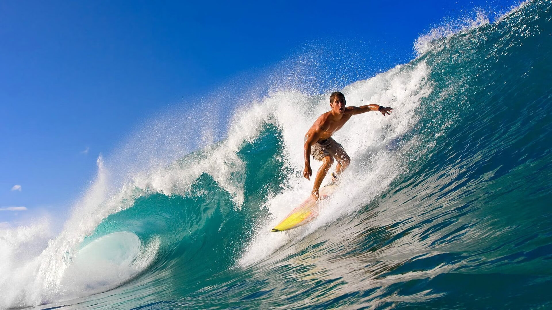 戈贝尔末节统治禁区，公牛窒息防守终结勇士连胜神话